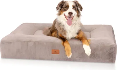 Immagine prodotto di Knuffelwuff Letto ortopedico per cani Midland Cuscino per cani Beige M-L