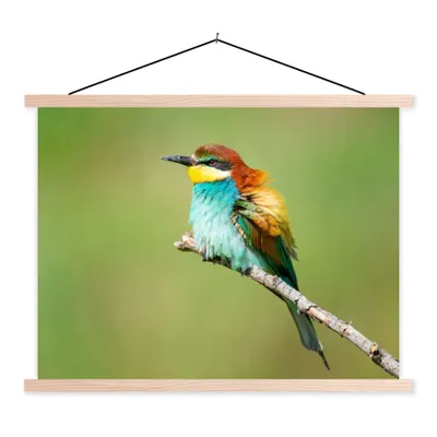 Produktbild von MuchoWow® Textilposter Vogel - Tiere - Bienenfresser 120x90 cm mit holzfarbenen Rahmen - Magnetisch