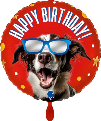 Produktbild von Folienballon rund 45cm Cool Dog Happy Birthday