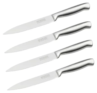 Image de Set de 4 couteaux de cuisine universels 24 cm en inox Nirosta Star