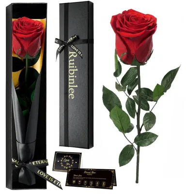 Produktbild von Konservierte Rose rote Ewige Blume in Geschenkbox