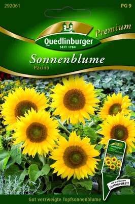 Produktbild von Sonnenblumen, Pacino