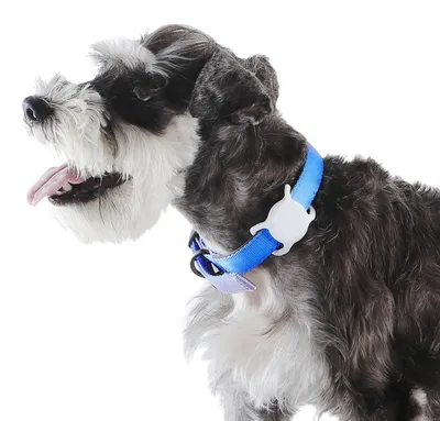 Productafbeelding van A. Basis halsbandhouders voor honden, AirTag-houders voor hondenhalsters, veilige