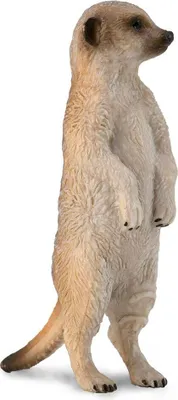 Produktbild von Collecta Suricatas Figur Beige 3-6 Years Beige 3-6 Years