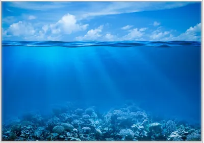 Produktbild von Wallario Wandbild Unterwasserwelt Meer, Größe: 70,30 x 100,30 cm, Poster mit weißem Kunststoffrahmen