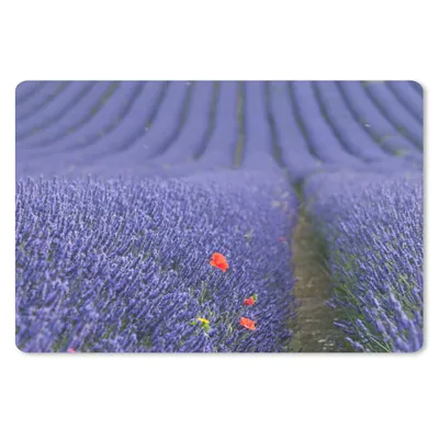 Produktbild von MuchoWow® Schreibtischunterlage Lavendel - Mohn - Blumenwiese 60x40 cm - XXL Mauspad - Großes Mauspad