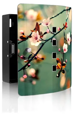 Produktbild von Design Schlüsselkasten aus Edelstahl für 10 Schlüssel - Schlüsselschrank zur Aufbewahrung 24 x 21,5 x 7 cm mit praktischem Magnetverschluss - Motiv Japankirsche