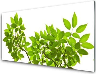 Produktbild von Acrylglasbilder 100x50 Wandbild Druck Zweige Blätter Pflanzen