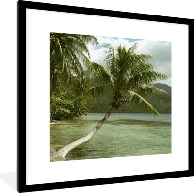 Produktbild von MuchoWow® MuchoWow® Gerahmtes Poster Palmen am Strand von Mo'orea 40x40 cm - Poster mit zchwarzem Bilderrahmen - Poster - Plakat im Rahmen