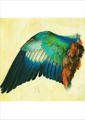 Produktbild von Kunstkarte Albrecht Dürer "Blauracke"