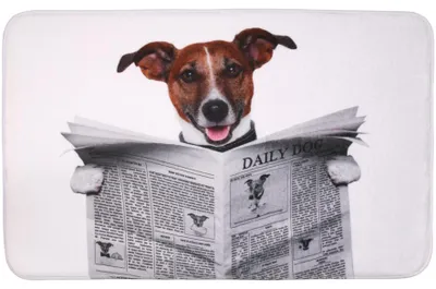 Image de Tapis de bain SANILO® Newspaper 70 x 110 cm