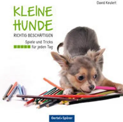 Produktbild von Kleine Hunde richtig beschäftigen