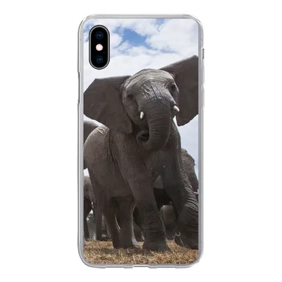 Produktbild von MuchoWow® Handyhülle Schutzhülle Hülle für iPhone Xs Elefant - Tiere - Natur - Flachland Silikon Softcase Handy Hülle - Handytasche