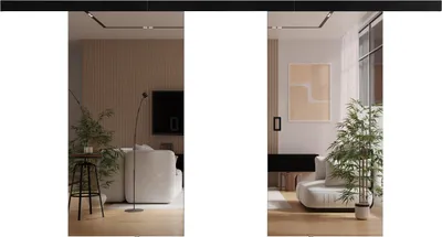 A reflection of a modern living room with furniture and plants is shown in two mirrored sliding doors.