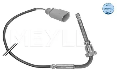 Image de Capteur, Abgastemperatur