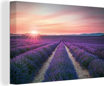 Obrázek produktu pro OneMillionCanvasses® Malba na plátně Nástěnná malba na plátně - Levandule - Fialová - Květiny - 150x100cm
