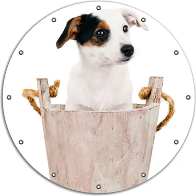 Produktbild von Wallario rundes Outdoor-Poster für Garten oder Balkon, Motiv Hunde-Welpe Jack Russel Terrier in einem Holzeimer, 90 cm Durchmesser