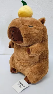 Obrázok produktu pre Maskotka Kapibara z owocem na głowie 30 cm