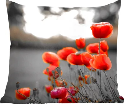 Produktbild von MuchoWow® Zierkissen Sofakissen Wohnzimmer Dekokissen 50x50 cm Wilde rote Mohnblumen auf einem großen Feld mit schwarzem und weißem Hintergrund - Komfort - Sofakissen