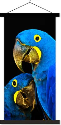 Produktbild von MuchoWow® Textilposter Papagei - Vogel - Federn - Blau 90x180 cm mit schwarzem Rahmen - Dekoration Wohnzimmer