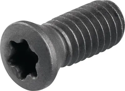 Productafbeelding van Spanningsbout WS0410, sleufkop T15