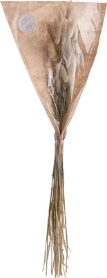 Produktbild von BUTLERS Trockenblumen Lagurusgras FLOWER MARKET