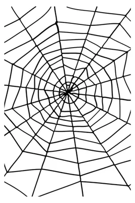 Produktbild von Halloween Seil Spinnennetz mit Spinne Gruselige Horror Deko 150 cm Schwarzes Netz für Halloween Party Spukhaus Mottoparty