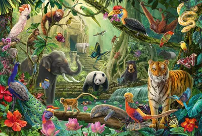 Immagine prodotto di Schmidt Spiele PZ. MONDO ANIMALE COLORATO I GIUNGLA 100T GIUNGLA 100T