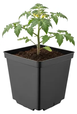 Image de Garronda - Pot de fleurs carré en plastique avec trous de drainage pour le jardin (noir, 15 x 15 x 15 cm (2,5 L)) GD-KW-S