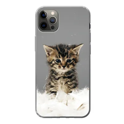 Produktbild von MuchoWow® Handyhülle Schutzhülle Hülle für iPhone 13 Pro Max Katze - Kätzchen - Federn Silikon Softcase Handy Hülle - Mobiltelefon