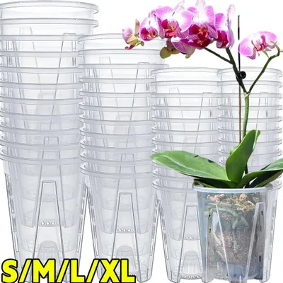 Immagine prodotto di Vasi per orchidee - Vaso traspirante - Confezione da 4 - 10 cm - Forato - Favorisce la crescita delle radici - Taglia S