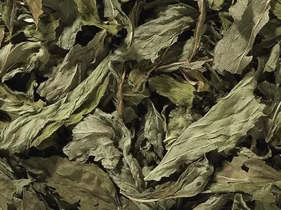 Produktbild von Pfefferminze, ganz 0,5 kg pro Tüte / 1 kg