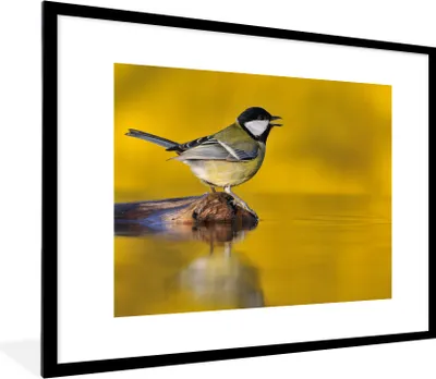 Produktbild von MuchoWow® Gerahmtes Poster Kohlmeise - Vogel - Wasser 80x60 cm - Poster mit Schwarzem Bilderrahmen Wandposter Rahmen Foto Bilder - Schlafzimmer-Dekorationen - Fotoposter