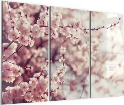Produktbild von DEQORI Glasbild Echtglas 3x50x100 cm 'Kirschblütenzweige' Wandbilder XXL groß