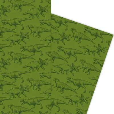 Produktbild von Klassisches Dinosaurier Geschenkpapier für die Forscher von morgen, grün - G5852, 32 x 48cm