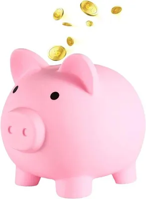 Productafbeelding van Spaarvarken voor kinderen en volwassenen - Geluksvarken spaarbox voor feestelijke gelegenheden