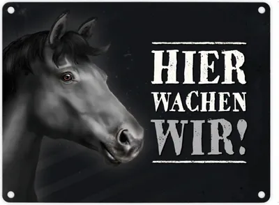 Produktbild von Metallschild mit Pferd Motiv und Spruch: Hier wachen wir! Metallschild