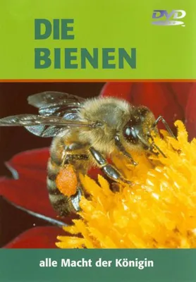 Zdjęcie produktu dla Die Bienen. DVD-Video