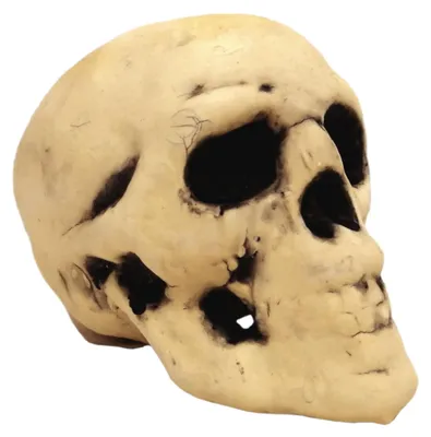 Produktbild von Totenkopf Partydekoration für Halloween, Horror- oder Piratenparty, ca. 12 cm