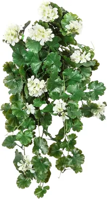 Produktbild von aplanta Künstliche Hängegeranie - Petunia | 66 cm, UV-beständig, für draußen, Kunstblume, wie echt, Allergiker geeignet, pflanzliche Dekoration Praxis, Office & Wohnzimmer