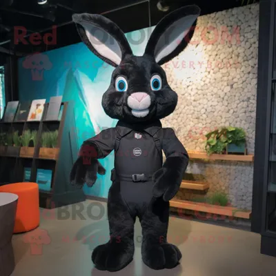 Produktbild von Schwarzer REDBROKOLY Hase als Maskottchen kostüm bekleidet mit einem Rashguard und Fäustlingen