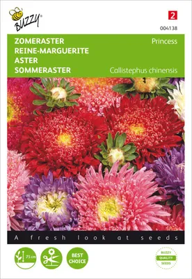 Produktbild von Sommeraster Prinzessin Mischung | Asternsamen von Buzzy Seeds