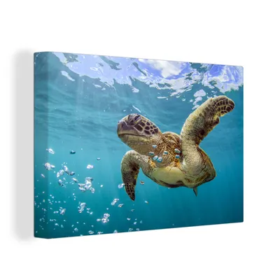 Obrázok produktu pre OneMillionCanvasses® - Maľba na plátne - Obraz na plátne Nástenná maľba na plátne - Morská korytnačka obklopená bublinami - 150x100cm - Fotografia na