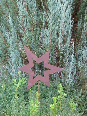Immagine prodotto di Stella da giardino asimmetrica aperta, piccola