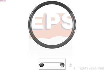Produktbild von EPS Dichtung Thermostat 1.890.653 für VW GOLF VI (5K1)
