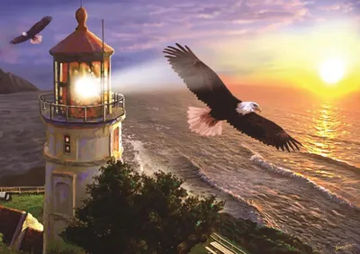 Obrázek produktu pro ART PUZZLE Puzzle Let za úsvitu 1000 dílků