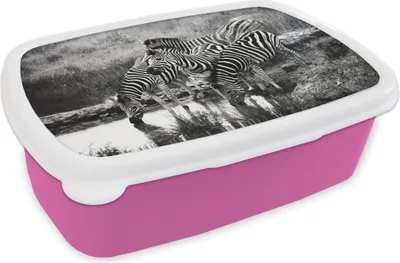 Produktbild von KitchenYeah® Lunchbox Brotzeit Brotdose 17x11 cm Trinkende Zebras Kinder Brotzeitdose - Lunchpaket - Brotkasten  - Sandwich Box