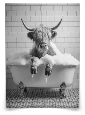 Produktbild von Muralo Poster für WC Badezimmer SCHOTTISCHE KUH in Badewanne Schwarz-Weiß Abstraktion 50x70cm