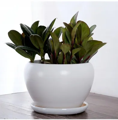 Produktbild von Weisser Keramikblumentopf, Glänzend, Rund, Durchmesser 24 Cm, Höhe 18 Cm
