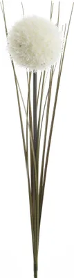 Produktbild von Künstliche Allium mit Stiel 7cm x 66cm Weiß